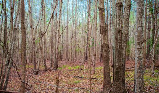 Photo #22 of SOLD property in Off Julie McKnight Road, Kittrell, NC 12.2 acres