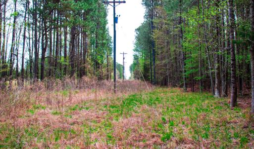 Photo #23 of SOLD property in Off Julie McKnight Road, Kittrell, NC 12.2 acres