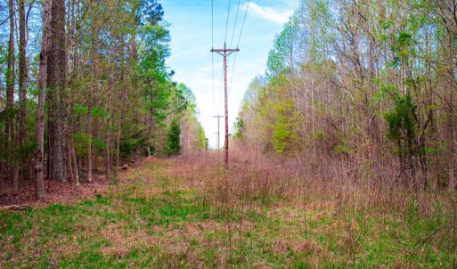 Photo #24 of SOLD property in Off Julie McKnight Road, Kittrell, NC 12.2 acres