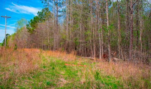 Photo #25 of SOLD property in Off Julie McKnight Road, Kittrell, NC 12.2 acres