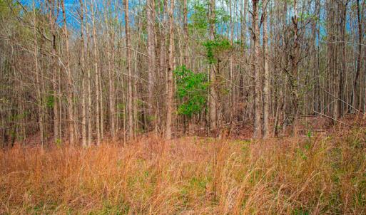Photo #26 of SOLD property in Off Julie McKnight Road, Kittrell, NC 12.2 acres