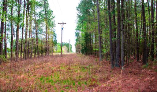 Photo #29 of SOLD property in Off Julie McKnight Road, Kittrell, NC 12.2 acres