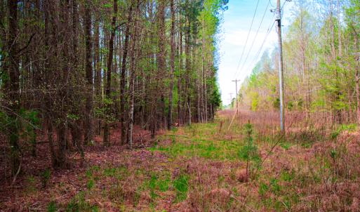 Photo #30 of SOLD property in Off Julie McKnight Road, Kittrell, NC 12.2 acres
