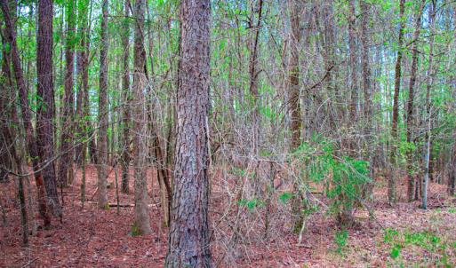 Photo #31 of SOLD property in Off Julie McKnight Road, Kittrell, NC 12.2 acres