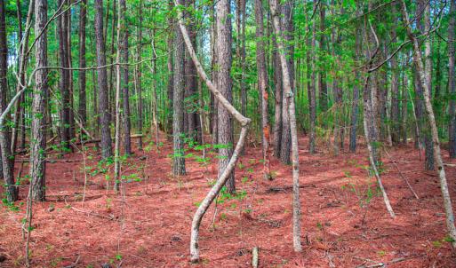 Photo #32 of SOLD property in Off Julie McKnight Road, Kittrell, NC 12.2 acres