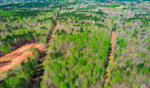 Photo #5 of SOLD property in Off Julie McKnight Road, Kittrell, NC 12.2 acres