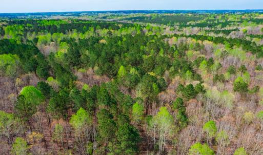Photo #6 of SOLD property in Off Julie McKnight Road, Kittrell, NC 12.2 acres
