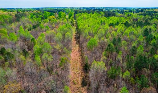 Photo #7 of SOLD property in Off Julie McKnight Road, Kittrell, NC 12.2 acres