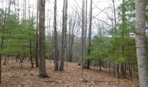 Photo #12 of Off Riverside Drive, Independence, VA 16.6 acres