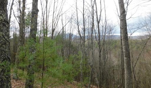 Photo #13 of Off Riverside Drive, Independence, VA 16.6 acres