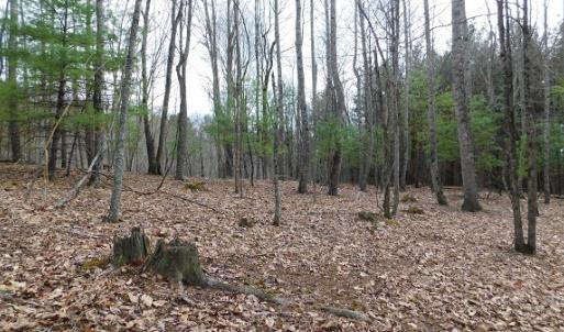 Photo #14 of Off Riverside Drive, Independence, VA 16.6 acres