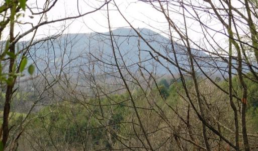 Photo #17 of Off Riverside Drive, Independence, VA 16.6 acres