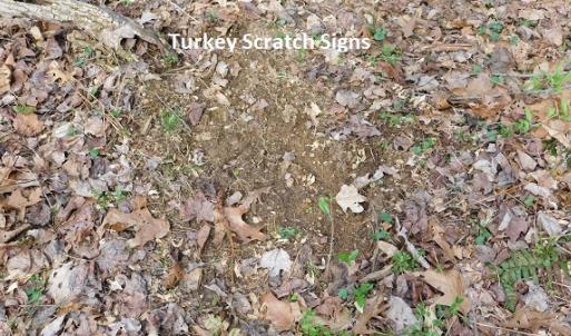 Photo #18 of Off Riverside Drive, Independence, VA 16.6 acres