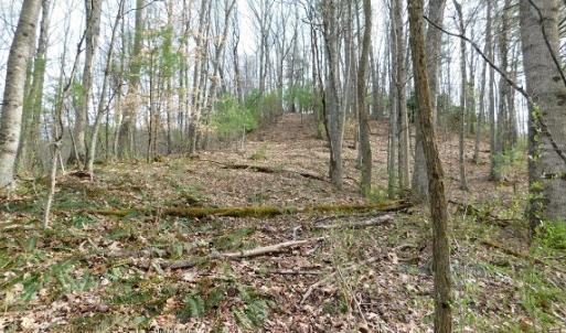 Photo #19 of Off Riverside Drive, Independence, VA 16.6 acres