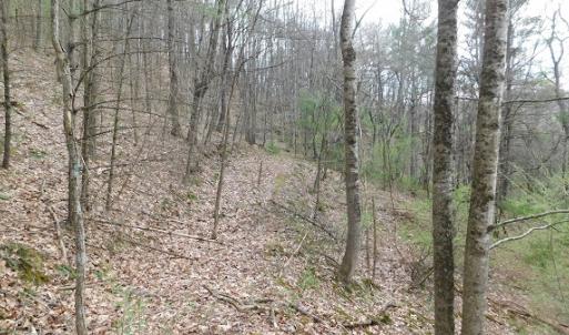 Photo #20 of Off Riverside Drive, Independence, VA 16.6 acres