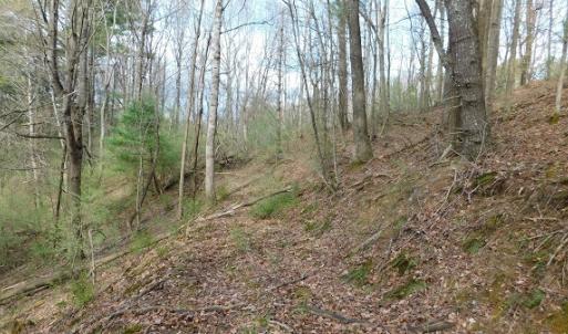 Photo #21 of Off Riverside Drive, Independence, VA 16.6 acres