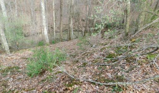 Photo #22 of Off Riverside Drive, Independence, VA 16.6 acres