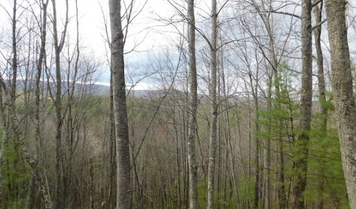 Photo #24 of Off Riverside Drive, Independence, VA 16.6 acres
