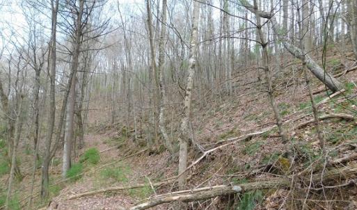 Photo #25 of Off Riverside Drive, Independence, VA 16.6 acres