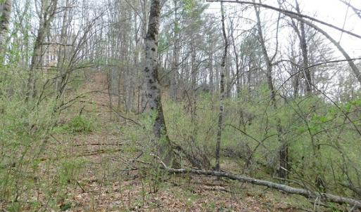 Photo #27 of Off Riverside Drive, Independence, VA 16.6 acres