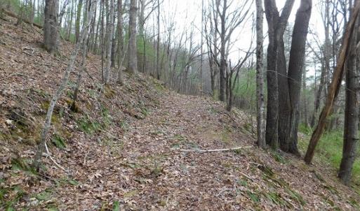 Photo #28 of Off Riverside Drive, Independence, VA 16.6 acres