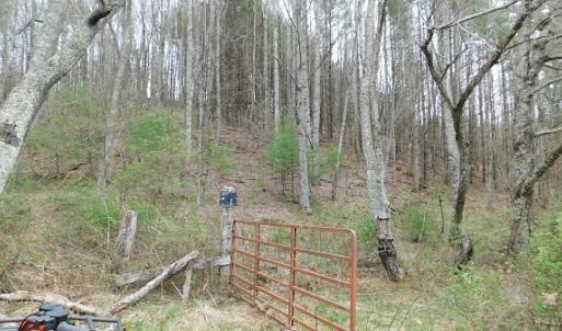Photo #6 of Off Riverside Drive, Independence, VA 16.6 acres