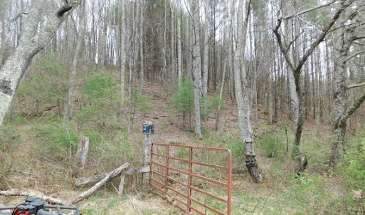 Photo #6 of Off Riverside Drive, Independence, VA 16.6 acres
