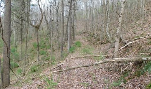 Photo #7 of Off Riverside Drive, Independence, VA 16.6 acres