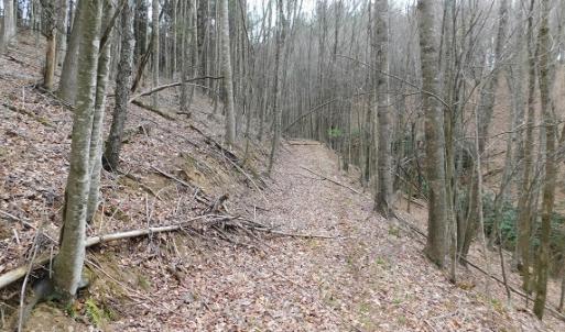 Photo #10 of Off Riverside Drive, Independence, VA 16.6 acres