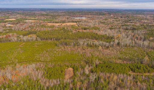 Photo #12 of SOLD property in Off Burtons Chapel Road, Mebane, NC 58.8 acres