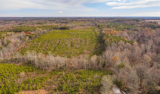 Photo #15 of SOLD property in Off Burtons Chapel Road, Mebane, NC 58.8 acres