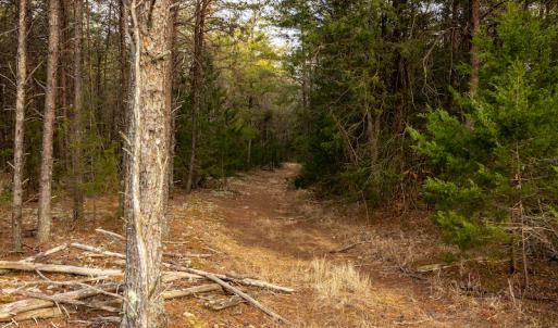 Photo #20 of SOLD property in Off Burtons Chapel Road, Mebane, NC 58.8 acres