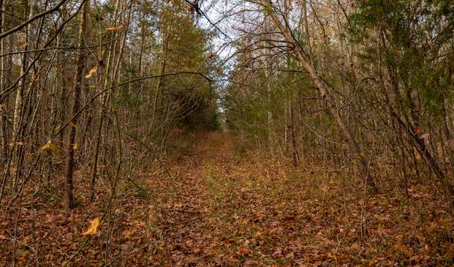 Photo #21 of SOLD property in Off Burtons Chapel Road, Mebane, NC 58.8 acres