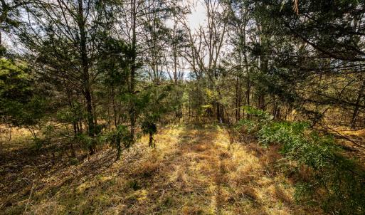Photo #22 of SOLD property in Off Burtons Chapel Road, Mebane, NC 58.8 acres