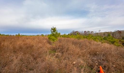 Photo #24 of SOLD property in Off Burtons Chapel Road, Mebane, NC 58.8 acres
