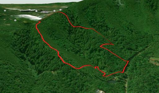 Photo #49 of SOLD property in Off Chase Log Road, Stuart, VA 46.4 acres