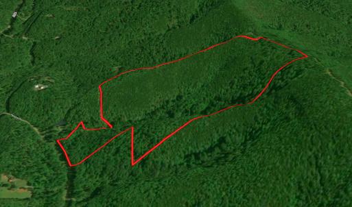 Photo #48 of SOLD property in Off Chase Log Road, Stuart, VA 46.4 acres