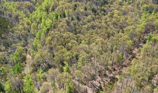 Photo #2 of SOLD property in Off Chase Log Road, Stuart, VA 46.4 acres