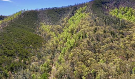 Photo #3 of SOLD property in Off Chase Log Road, Stuart, VA 46.4 acres