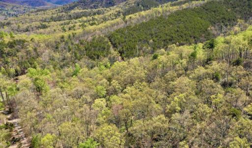 Photo #4 of SOLD property in Off Chase Log Road, Stuart, VA 46.4 acres