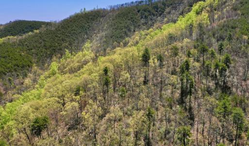 Photo #5 of SOLD property in Off Chase Log Road, Stuart, VA 46.4 acres