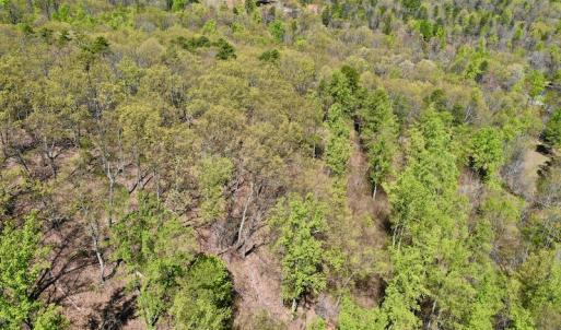 Photo #6 of SOLD property in Off Chase Log Road, Stuart, VA 46.4 acres