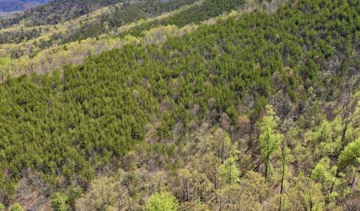 Photo #7 of SOLD property in Off Chase Log Road, Stuart, VA 46.4 acres