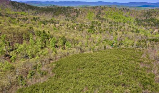 Photo #8 of SOLD property in Off Chase Log Road, Stuart, VA 46.4 acres