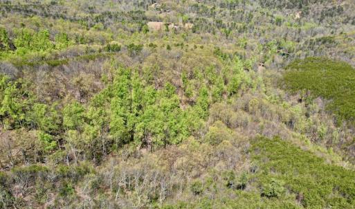 Photo #10 of SOLD property in Off Chase Log Road, Stuart, VA 46.4 acres
