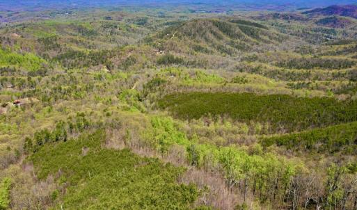 Photo #11 of SOLD property in Off Chase Log Road, Stuart, VA 46.4 acres
