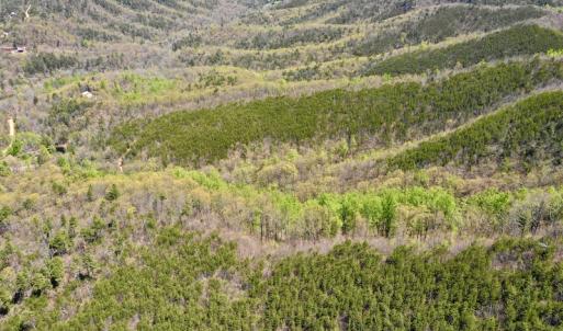 Photo #12 of SOLD property in Off Chase Log Road, Stuart, VA 46.4 acres