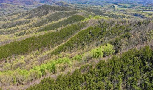 Photo #13 of SOLD property in Off Chase Log Road, Stuart, VA 46.4 acres