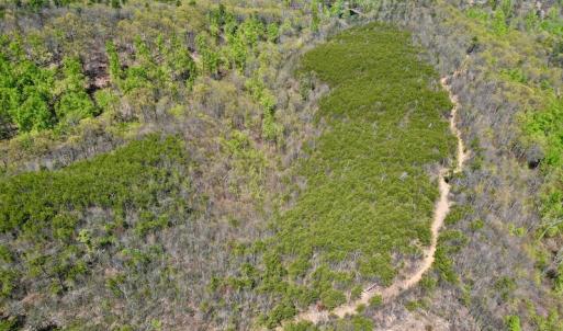 Photo #14 of SOLD property in Off Chase Log Road, Stuart, VA 46.4 acres