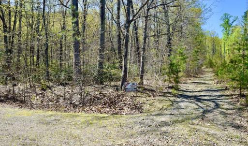 Photo #16 of SOLD property in Off Chase Log Road, Stuart, VA 46.4 acres